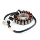 thumbnail image 1 of Bobina de estator para Suzuki Burgman Skywave AN250 AN400 1998 1999 2000 2001 2002, 1 of 6