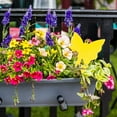 thumbnail image 3 of Best Trap 25 Pack Dual-Sided Yellow Sticky Traps for Outdoor Flying Plant Insect Such as Fungus Gnats, Whiteflies, Aphids, Leafminers,Thrips, 3 of 8