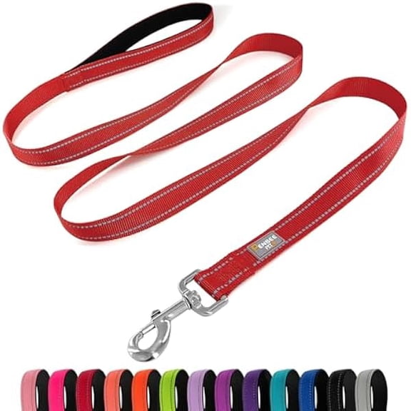 Eryueer Dog Leash 6 FT Padded Handle Nylon Reflective Dogs Leashes for Large Dogs Red