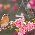 thumbnail image 2 of Innovative Bird Feeder Bird Accessory for Various Wild Birds, 2 of 8