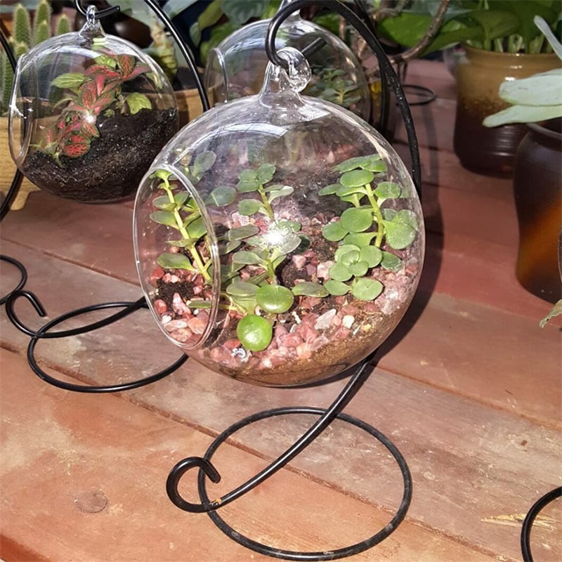 Flat Clear Round Ball Flower Hanging Glass Vase Planter Fish Tank Terrarium US