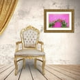 thumbnail image 3 of Eggers, Julie 18x13 Gold Ornate Wood Framed with Double Matting Museum Art Print Titled - Italy-Venice-Burano Island Vining flowers against a bright pink wall on Burano Island, 3 of 4