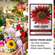 Velvet Queen Sunflower Seeds