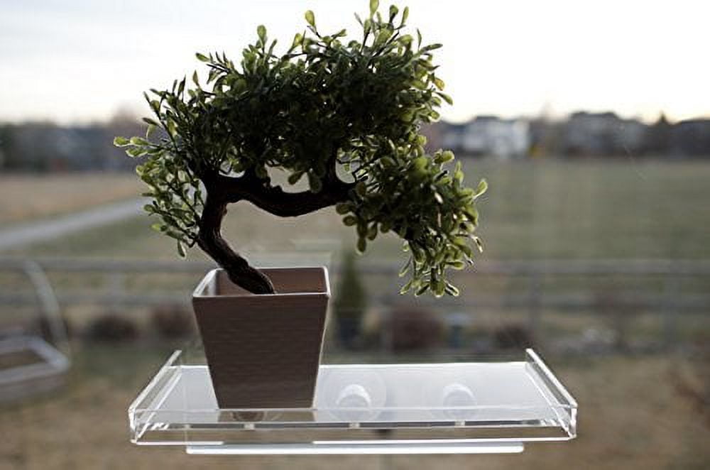 LaBrinx Designs Extra Large Suction Cup Shelf - Live Plants, Windows, and  Bathrooms