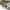 White/S, variant on TOPRenddon Yard Fence Small Fence Mini Fence Fence Small Fence Garden Fence Home Fence, White Plastic Fence Garden Picket Fence Edgings Lawn Flowerbeds Plant Borders Decorative Garden Yard