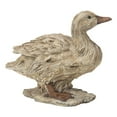 thumbnail image 5 of DUCK DRIFTWOOD LOOK, 5 of 6