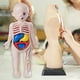 thumbnail image 4 of Rompecabezas de cuerpo humano CUTICAT Juguetes ensamblados con órganos, 4 of 7