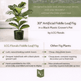 thumbnail image 4 of Artificial Plant, 2.5ft Fiddle Leaf Fig  Plant in a Plastic Black Grower's Pot by LCG Florals, Faux Designer Fake Indoor Plant for Living Room, Office, and Home Décor, 4 of 12
