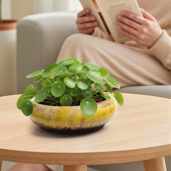 Dtchengua 7 Inch Ceramic Bonsai Pots with Drainage Hole, Shallow Planter for Indoor Outdoor, Round Planter, Cactus Pot, Office Decor for Plant Lovers,Yellow