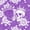 Violet White, variant on Castle Fairy Spooky Rose Bloom Twin Quilt Set,Boho Crowned Skull Twin Coverlet Set,Black White