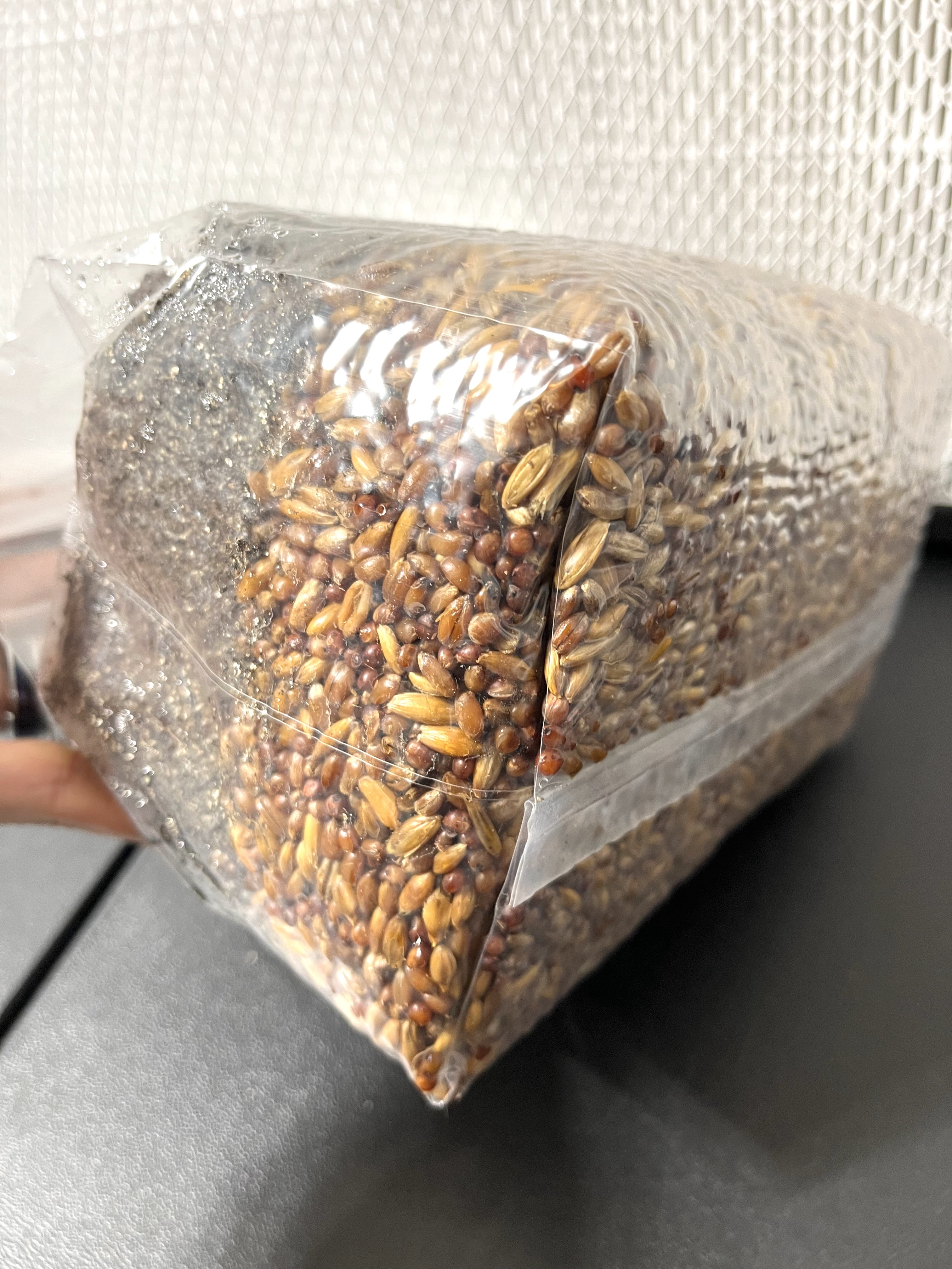 5lb All-in-One Mushroom Grow Bag – CVG Substrate with Azomite – Sterilized 3-Grain Blend (Rye, Oats, Milo) – Premium Bulk Grow Kit