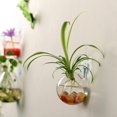 thumbnail image 2 of goowrom Pot de Fleurs Mural en Verre en Forme de Globe Vase Suspendu Jardinière, 2 of 9