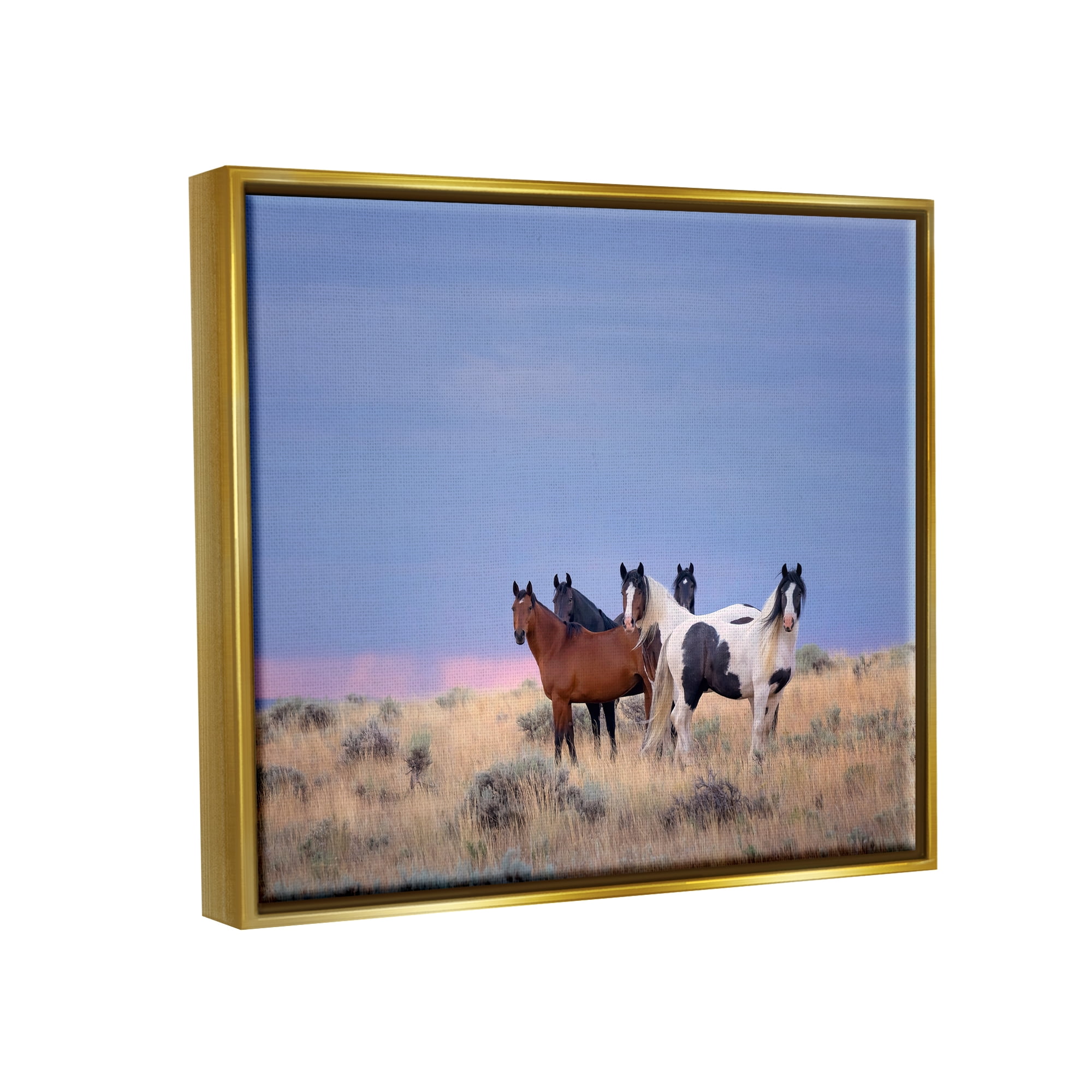 Stupell Industries Country Horses in Meadow Animals & Insects Photography Gold Floater Framed Canvas Art Print Wall Art, 31 x 25