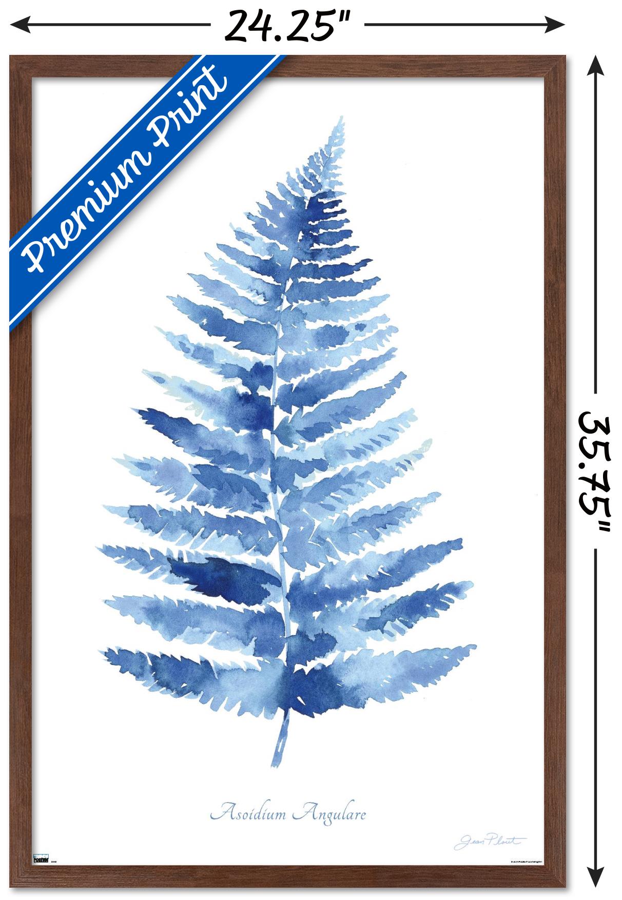 Jean Plout - Indigo Botanical Asoidium Angulare Wall Poster, 22.375" x 34" Framed