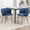 Blue, variant on Velvet Dining Chairs Set of 2, Modern Woven Upholstered Accent Side Chairs, Dining Room Kitchen Chairs with Sturdy Gold Metal Legs, Indoor Armless Guest Chairs for Living Room, Banquet(Beige)