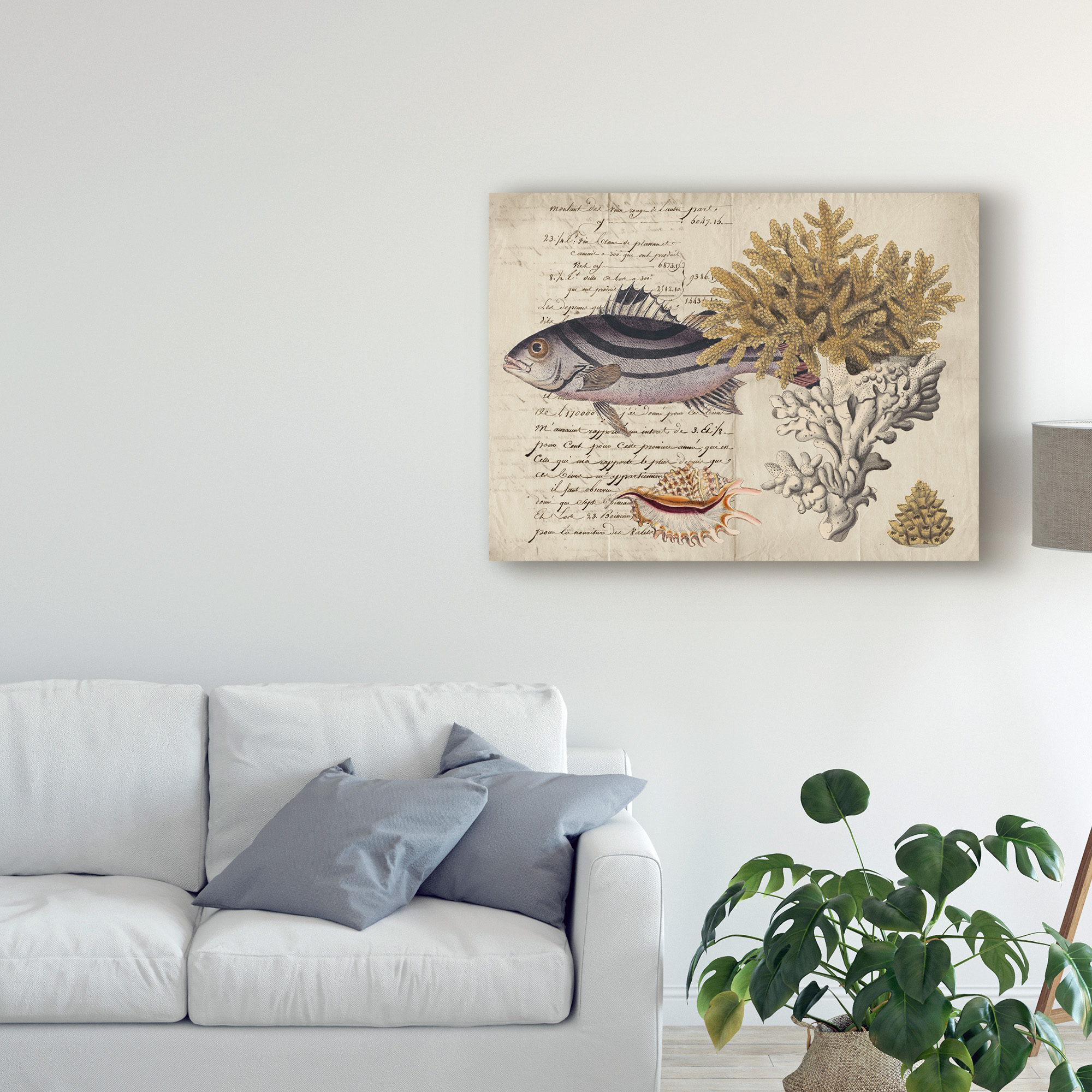 Trademark Fine Art 'Sea life Journal III' Canvas Art by Vision Studio