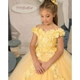 thumbnail image 5 of Drtj Kids Teens Flower Girl Dress Appliques - Tulle Princess Pageant Long Ball Gown Dresses, 5 of 7
