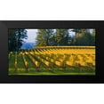 thumbnail image 2 of Crane, Rita 14x9 Black Modern Framed Museum Art Print Titled - Golden Rows IV, 2 of 5