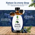 thumbnail image 3 of SVA Juniper Berry Essential Oil – 4 Fl Oz – 100% Natural Juniper Oil - for Diffuser, Hair Care, Face, Skin Care, Aromatherapy, Scalp and Body Massage, Soap and Candle Making – with Dropper, 3 of 9