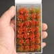 thumbnail image 3 of 2 Cajas de Flores en Miniatura Mini Modelo de de Arquitectura, 3 of 9