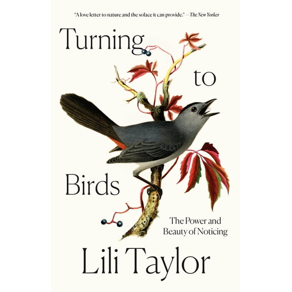 Turning to Birds : The Power and Beauty of Noticing (Paperback)