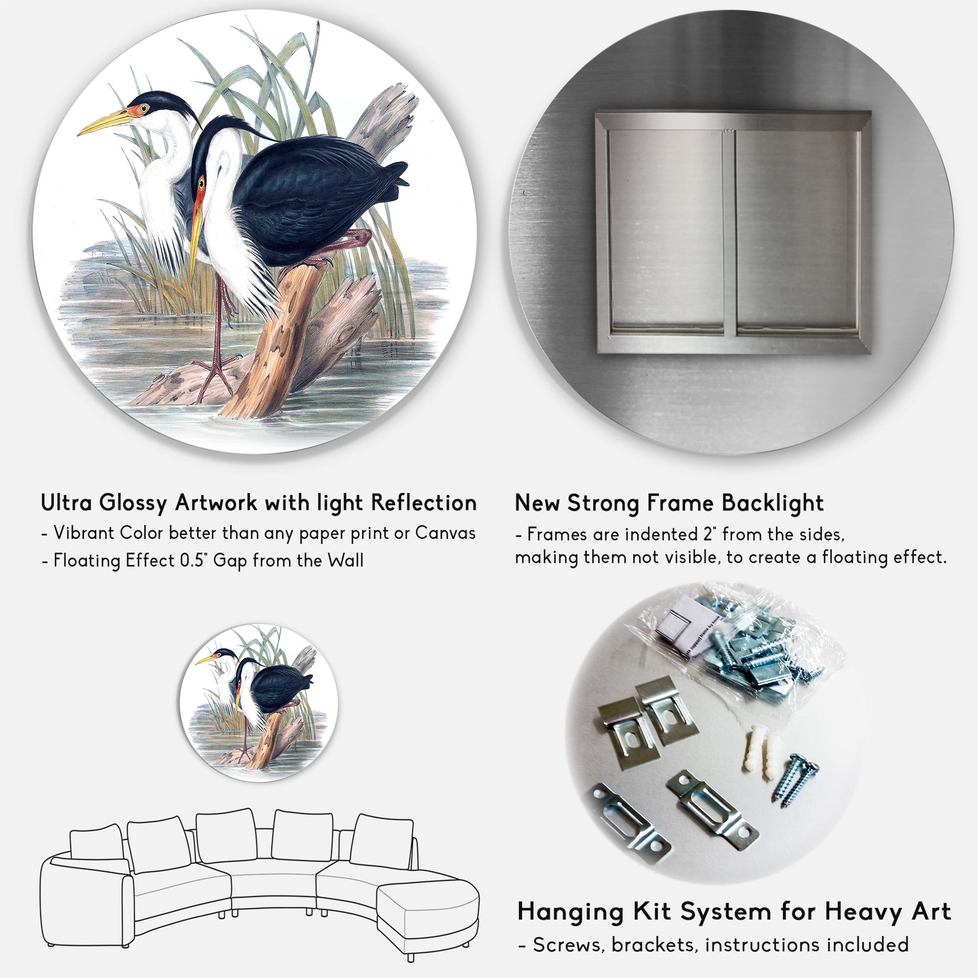 Designart 'Ancient Bird Life II' Traditional Circle Metal Wall Art 23x23 - Disc of 23