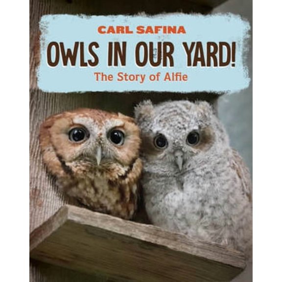 Owls in Our Yard!: The Story of Alfie, (Hardcover)