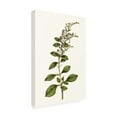 thumbnail image 2 of Curtis 'Soft Blue Botanicals I' Canvas Art, 2 of 4