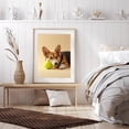 thumbnail image 6 of Diamond Art Kits for Adults - 5d Corgi With Tennis Ball Diamond Painting for Adults, Diamond Art for Adults Beginners, Diamond Painting Kits for Adults for Home Wall Decor, 6 of 7