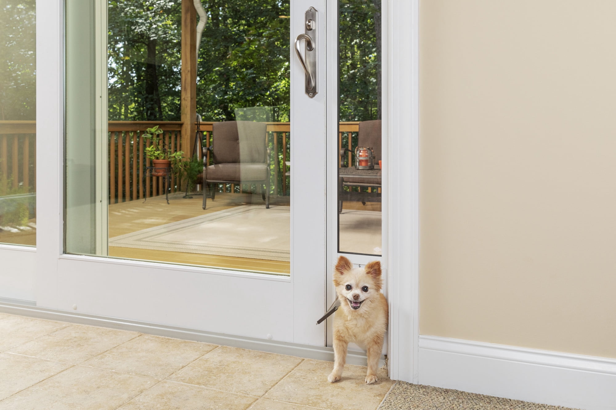 Screen Door Petsafe Patio Dog Door PetSafe Sliding Glass Pet
