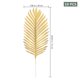 thumbnail image 4 of Rodillo de amasar de madera PENGJTMXG con estampado para El hogar patrón de gato, 4 of 5