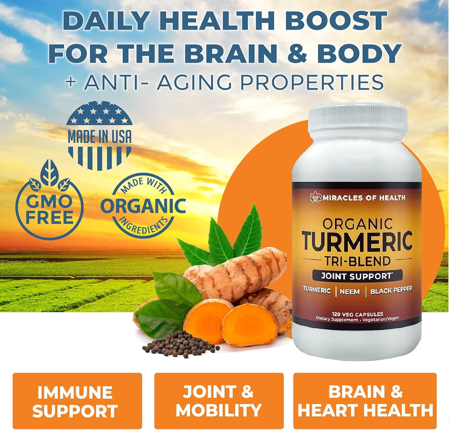 Turmeric Tri-Blend – Daily Health Boost, Immune Defense and Joint Support | All-Natural Herbal Supplement| 120 Veg Capsules with Organic Neem, Black Pepper and Turmeric