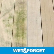 Wet & Forget Laundry Stain Remover Liquid - 1 Gal — Residential Use, Standard Application