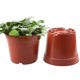 thumbnail image 5 of 200 Piezas 8,5 cm Macetas Redondas de Plástico Macetas Pequeñas para Plantas de Vivero Pequeñas Plantas En Macetas, 5 of 8