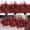 Red, variant on RECUTMS 8 Bundles Artificial Greenery Stems Fake Lucky Bamboo Leaves Faux Outdoor Plants UV Resistant Plastic Shrubs for Window Farmhouse Pathway Indoor Decorations (White)