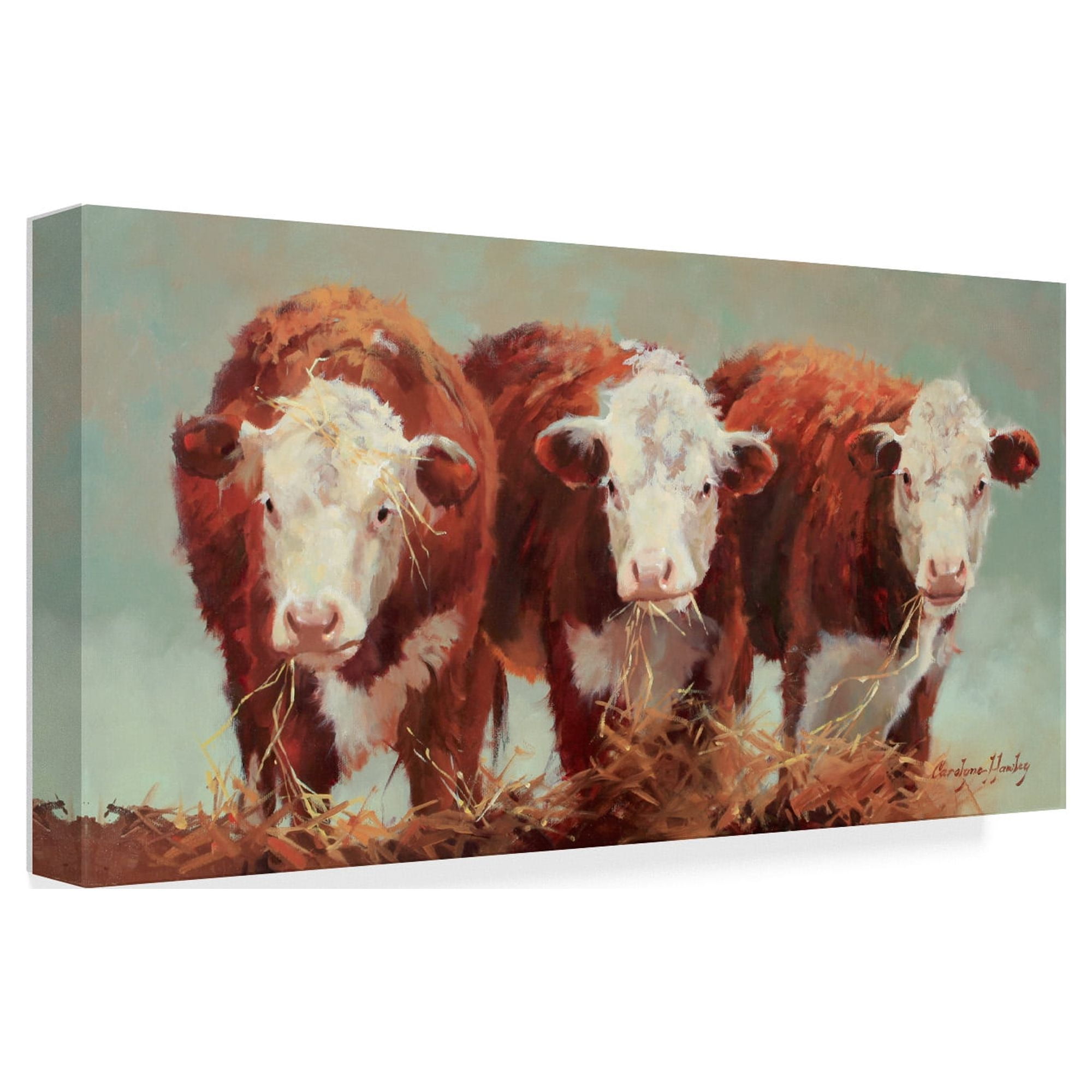 Trademark Fine Art 'Three of a Kind Cows' Canvas Art by Carolyne Hawley