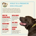 thumbnail image 3 of Country Brook Petz® 1 1/2 inch Premium Memphis 90s Dog Collar, Medium, 3 of 6