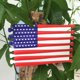 thumbnail image 5 of Letrero colgante Decoración Bandera americana Decoración Letrero de puerta Letrero colgante de licencia de decoración para de Sunnimix bandera de arte de pared, 5 of 8