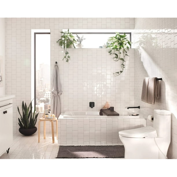 Moen BH3808BN Genta Double Post Modern Pivoting Toilet Paper Holder