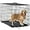 Black, variant on SAEWUD 24/30/36/42/48 Inch Large Dog Crate – Foldable Metal Wire Kennel with Double-Door, Divider Panel & Removable Tray for Indoor/Outdoor Use. (Black, 24")