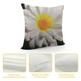 thumbnail image 4 of PIKWEEK  Throw Pillow Covers Beautiful White Daisy Bloom Flower Super Soft Pillow Covers Decorative for Couch Bedroom Living, 4 of 5