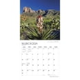 thumbnail image 3 of National Parks of America | 2024 12x24" (Hanging) Wall Calendar | StarGifts, 3 of 9