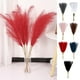 thumbnail image 1 of Decoración de césped de Pampas falsa - Flores artificiales aterciopeladas para bodas bohemias y decoración del hogar en blanco, rosa, negro y más, 1 of 6