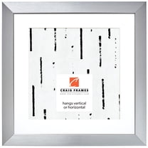 Craig Frames Modern Aesthetics 150, 16x16 inch Picture Frame Matted for a 12x12 Photo, Silver