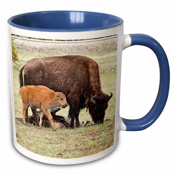 3drose, Baby Bison, Yellowstone National Park, Wyoming - Us51 Aje0034 - Adam Jones, 11oz Two-tone Blue Mug