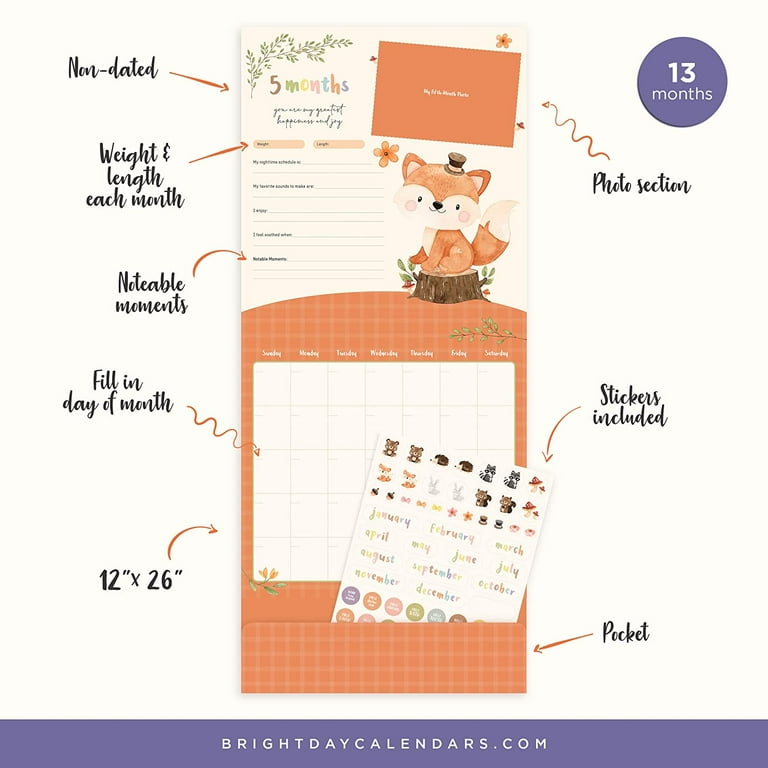 Baby's First Year Calendar by Bright Day - 1st Year Tracker - Journal Album  To Capture Precious Moments - Milestone Keepsake For Baby Girl or Boy -  Walmart.com