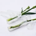 Desheus 1 Set Flower Growing Tube Effective Easy Clean Plastic