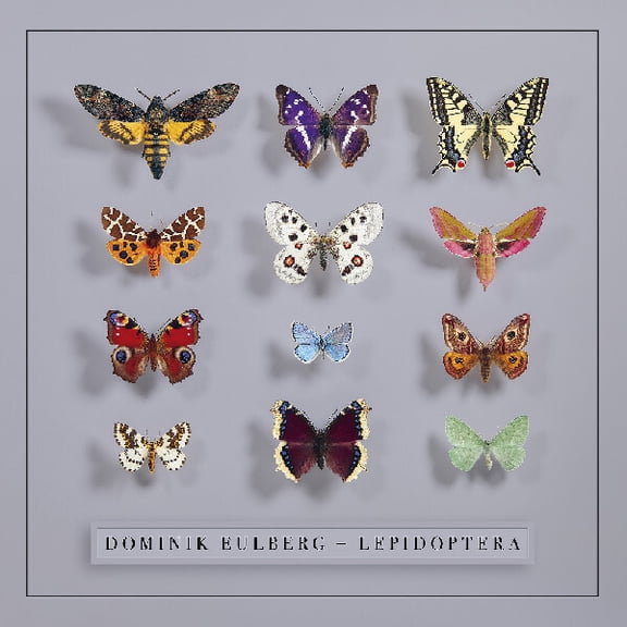 Dominik Eulberg - Lepidoptera - Music & Performance - Vinyl