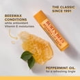 thumbnail image 3 of Burt's Bees 100% Natural  Moisturizing Lip Balm, with Beeswax, Vitamin E & Peppermint Oil, 1 Tube, 3 of 13