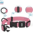 thumbnail image 2 of Best Pet Supplies Reflective Dog Collar with Adjustable Length, Heavy-Duty Buckle, and Strong Leash D-Ring, Cute Training, Walking, Jogging Accessory for Small, Medium, and Large Breeds, 2 of 5